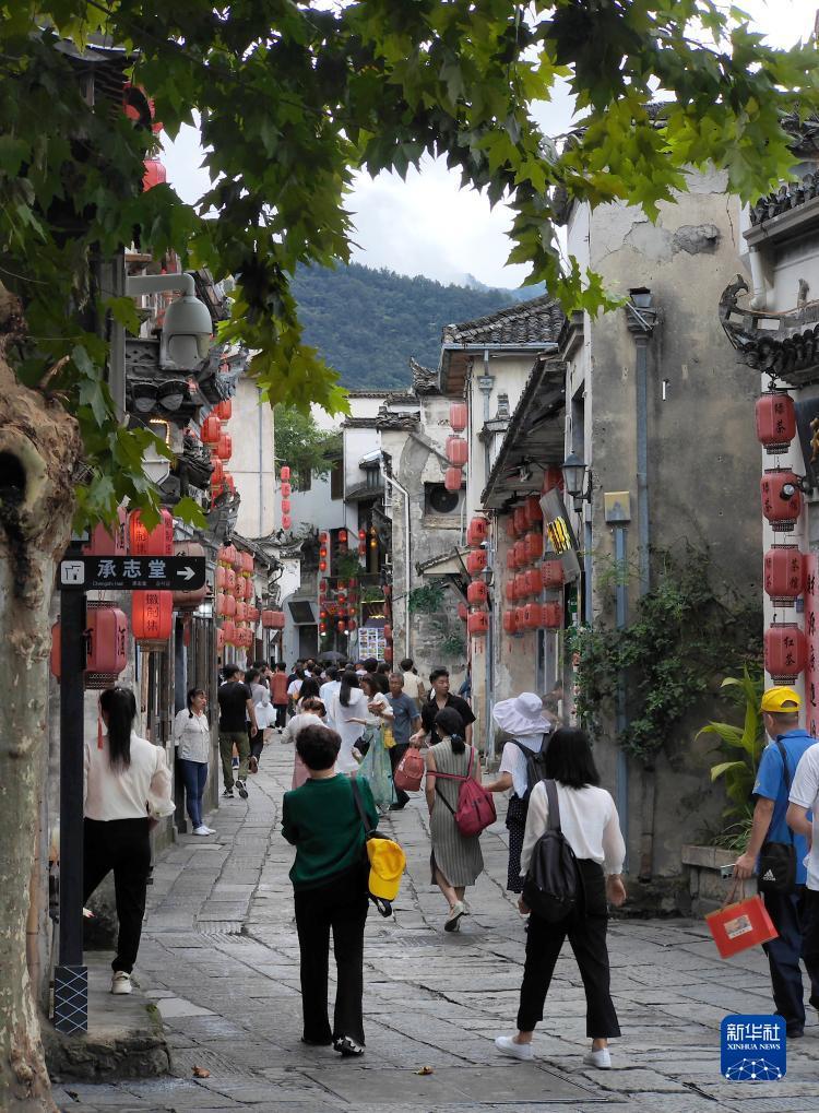 宝运来最新官网网址